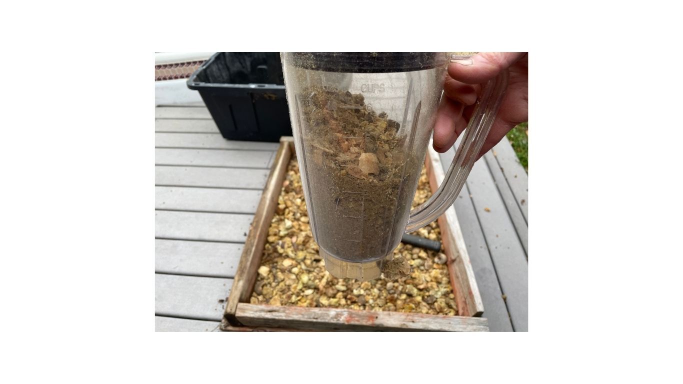 blender with ground oak galls for mordant