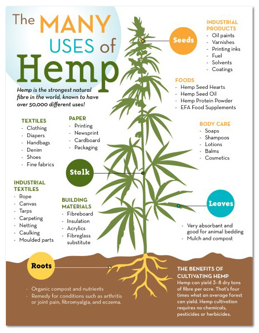 The many uses of hemp - Canada Hemp Foods