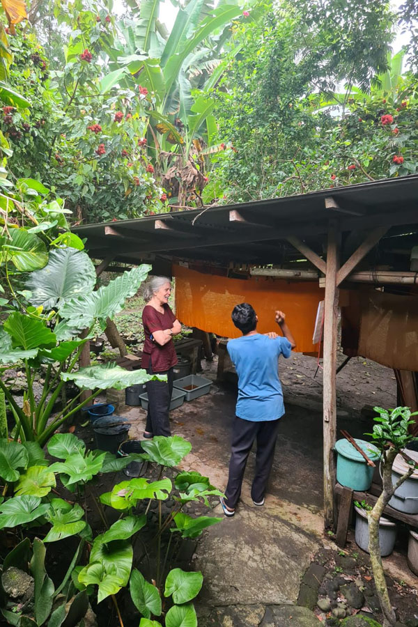 At studio Jolawe, set in a jungle of plants, master dyer Pak Didi Purwadi and I discuss color. 