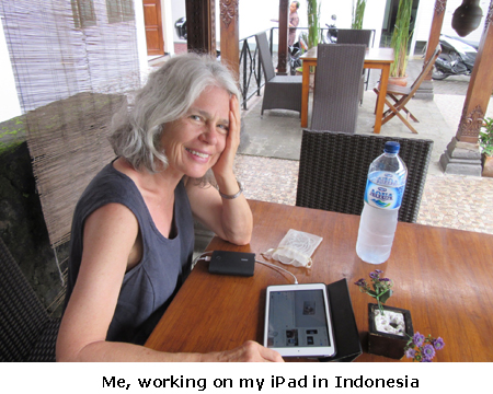 Rose wearing a Trapeze Tunic and trying to get her website back from a hotel in Indonesia