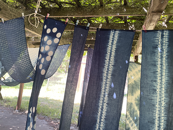 indigo scarves hanging out to dry after dyeing