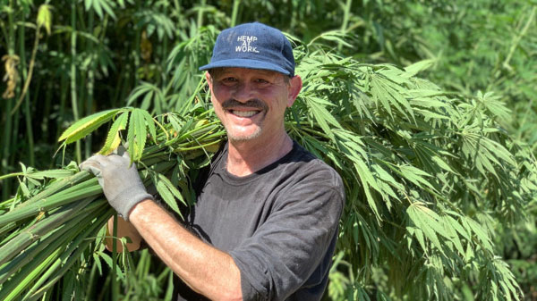 My friendly supplier Lawrence Serbin is pioneering the move to a resurgent hemp industry in the US. 
