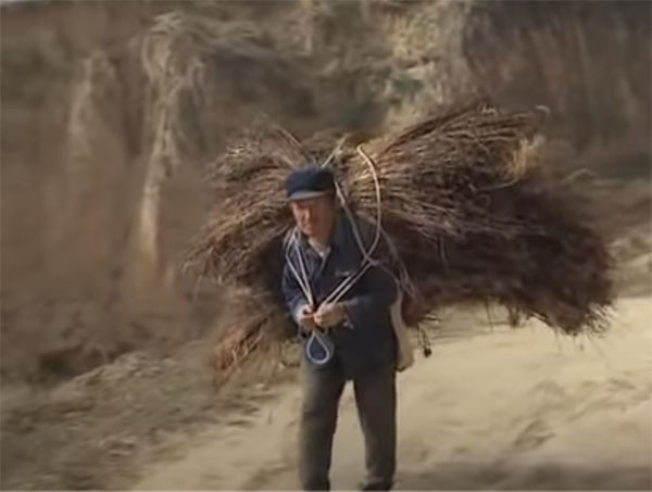 China's Loess Plateau